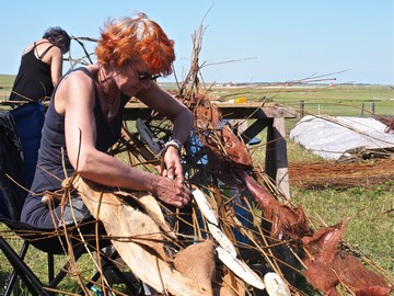 Elsbeth Cochius en Hedy Hempe, Natuurlijk werk, Zandvangers.